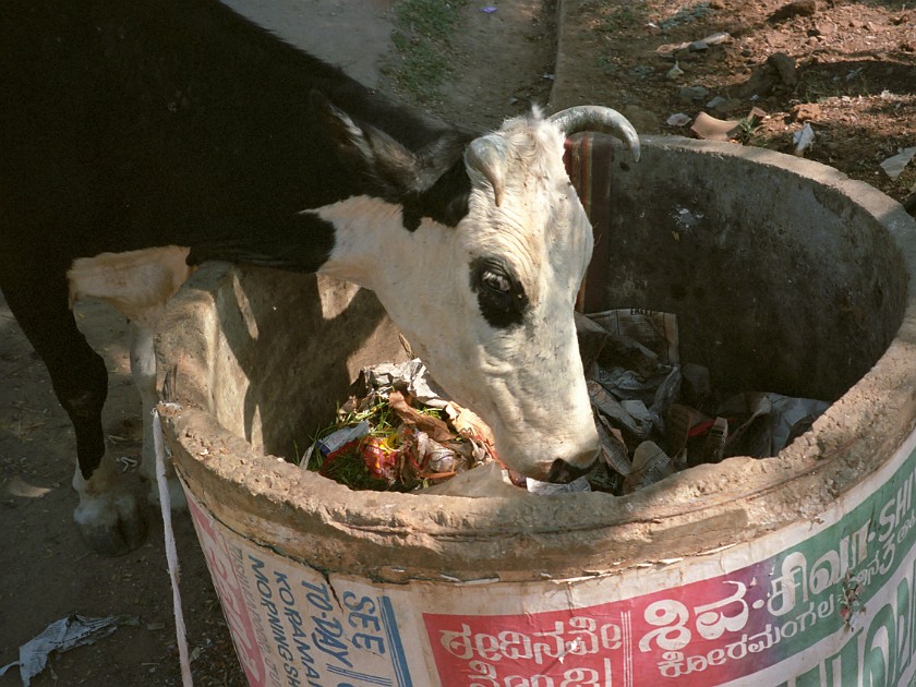 Koramangala. Public Waste Bin. Bangalore. .