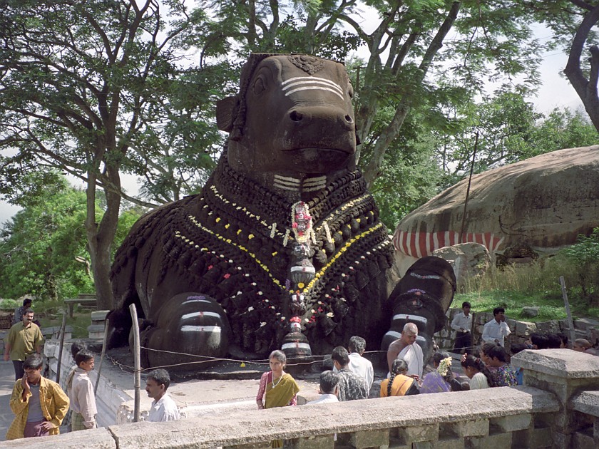 Trip to Mysore. Nandi, near Chamundeshwari Temple. Mysore. .