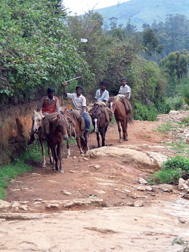 Trip to Kodaikanal. Kodaikanal. Kodaikanal. .