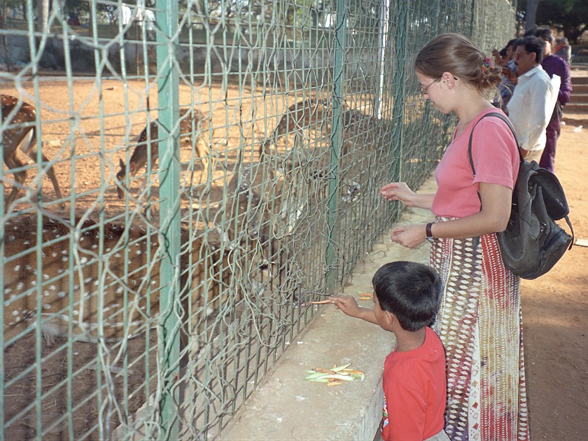 Lal Bagh Gardens. Zoo near Lal Bagh Gardens. Bangalore. .