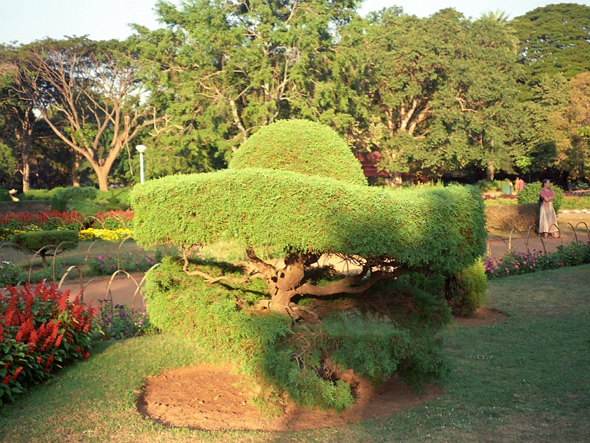 Lal Bagh Gardens. Lal Bagh Botanical Gardens. Bangalore. .