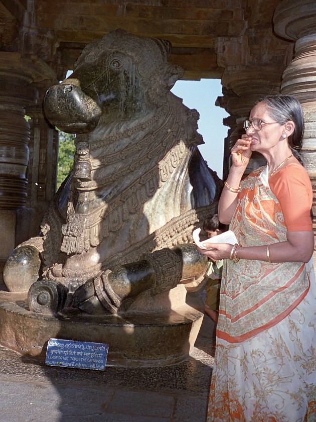 Trip to the Temples Around Hassan. Hoysaleshwara Temple. Halebid. .