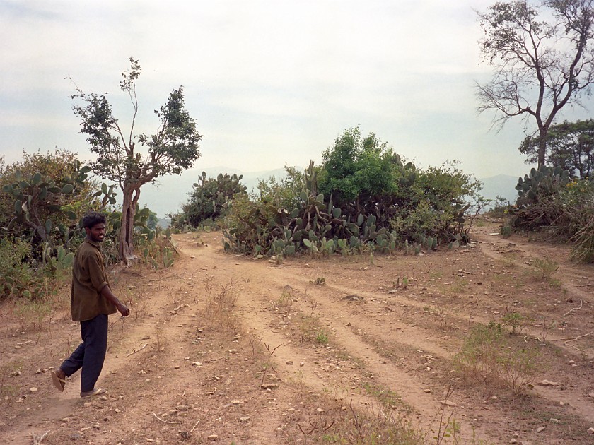 Trip to the Nilgiri Hills. Masinagudi. Masinagudi. .