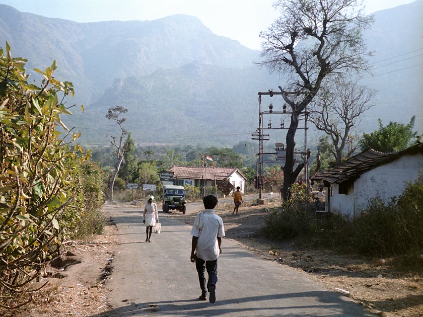 Trip to the Nilgiri Hills. Masinagudi. Masinagudi. .