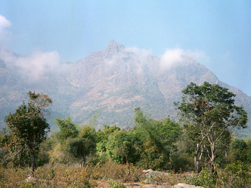 Trip to the Nilgiri Hills. Nilgiri Hills. Masinagudi. .