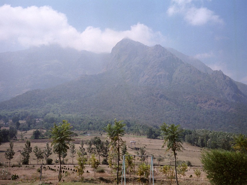 Trip to the Nilgiri Hills. Nilgiri Hills. Masinagudi. .