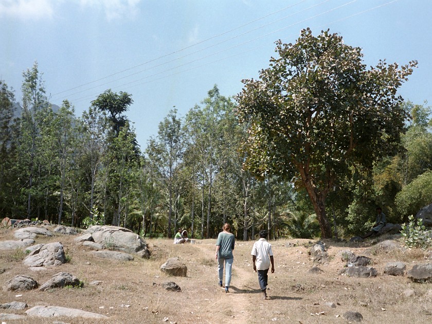 Trip to the Nilgiri Hills. Walk in the Nilgiri Foothills, Masinagudi. Masinagudi. .