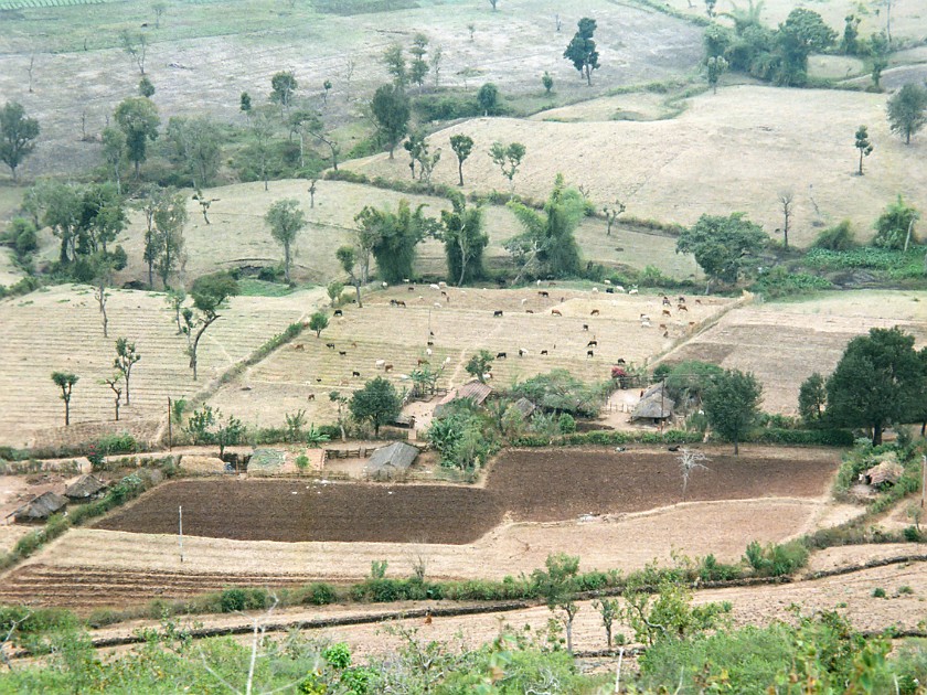 Trip to the Nilgiri Hills. Masinagudi. Masinagudi. .