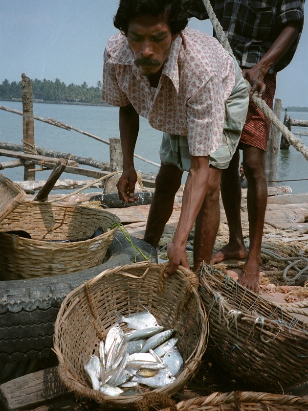 Trip to Kerala. Cochin. Cochin. .