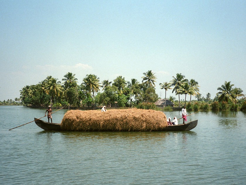 Trip to Kerala. Backwaters. near Alleppey. .