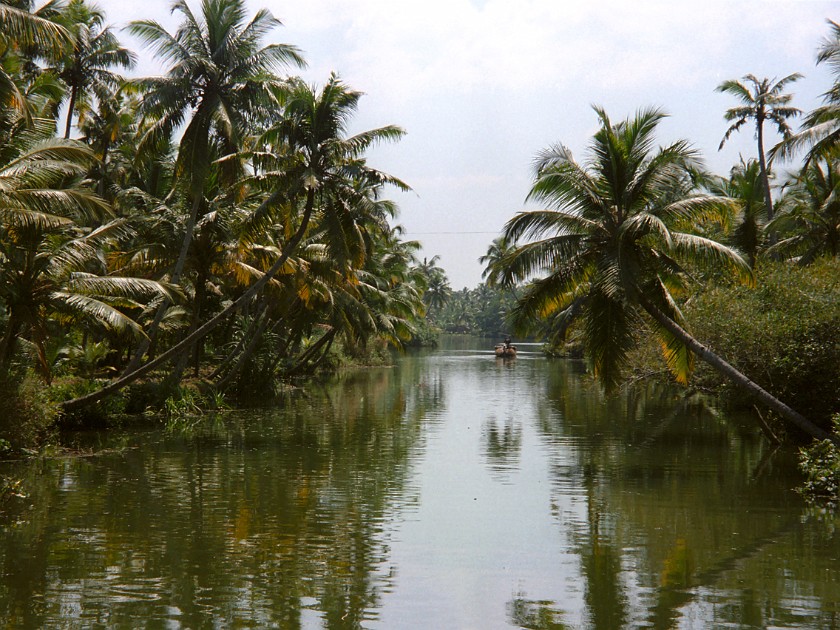 Trip to Kerala. Backwaters. near Alleppey. .