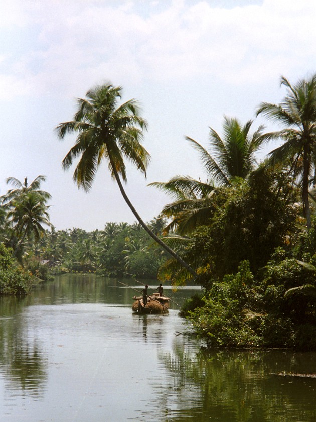 Trip to Kerala. Backwaters. near Alleppey. .