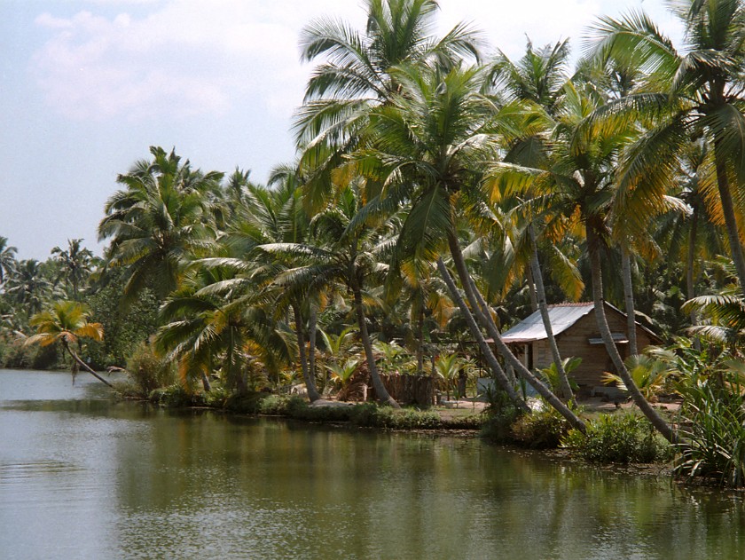 Trip to Kerala. Backwaters. near Alleppey. .