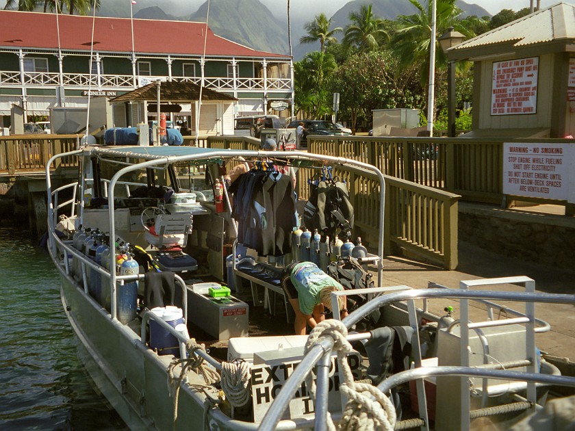 Diving Inside the Molokini Crater and Near Lanai. Lahaina Harbor. Lahaina. .