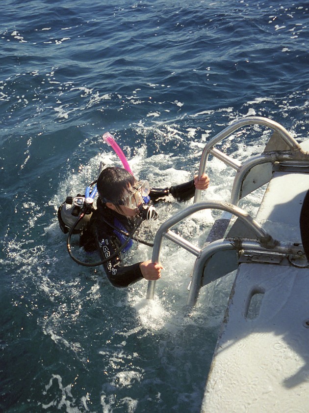 Diving Inside the Molokini Crater and Near Lanai. Molokini Crater. near Lanai. .