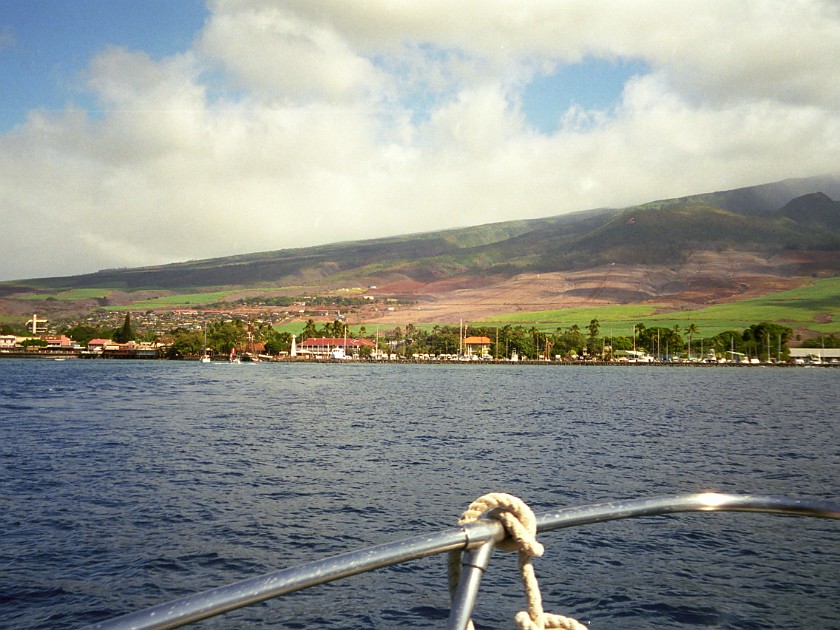 Diving Inside the Molokini Crater and Near Lanai. Lahaina. Maui. .