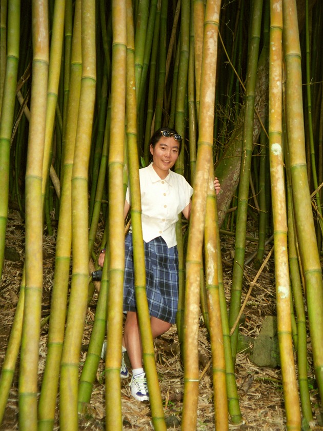 The South of Maui. Hana Forest Reserve. near Hana. .