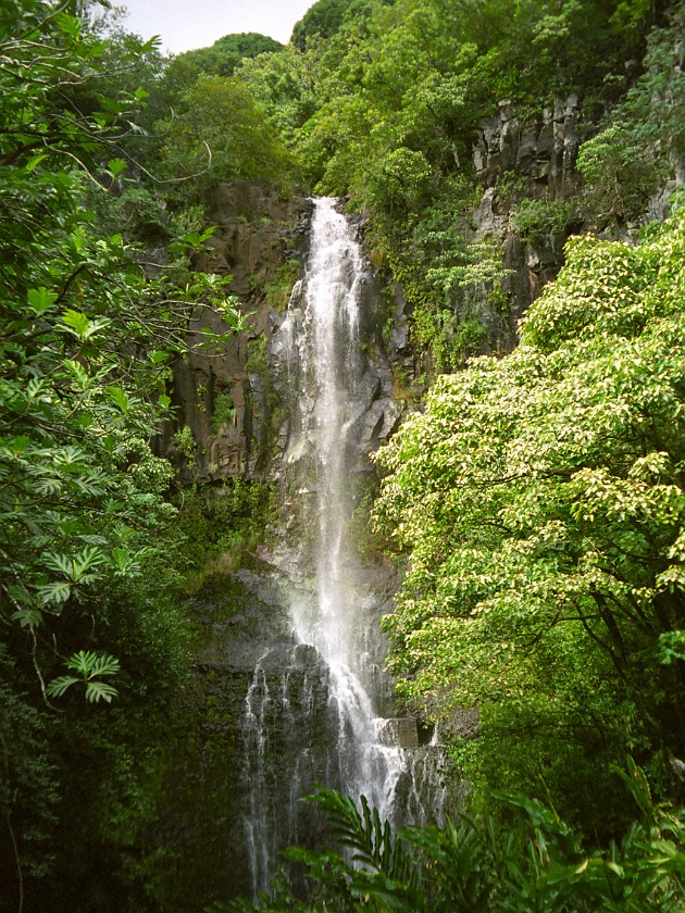 The South of Maui. Waterfall. near Hana. .