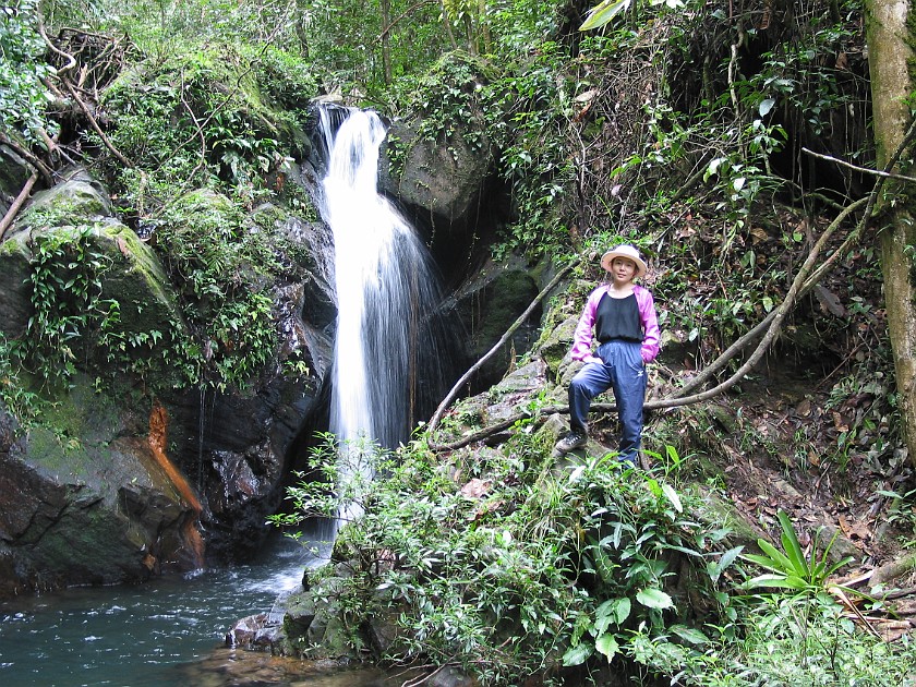 Cockscomb Basin Wildlife Sanctuary. Waterfall. near Dangriga. .