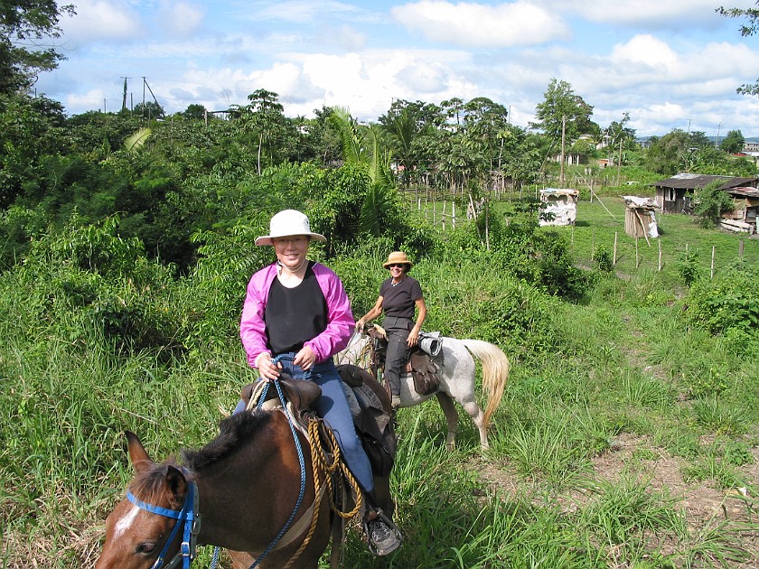 Horeseback Riding Tour in the Jungle Around San Ignacio. Jungle Trail. San Ignacio. .