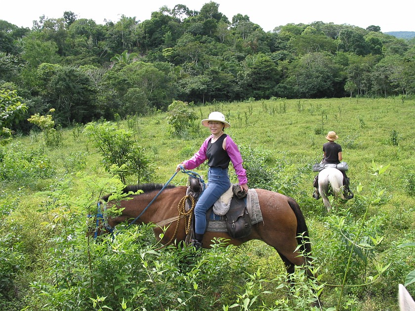 Horeseback Riding Tour in the Jungle Around San Ignacio. Jungle Trail. San Ignacio. .