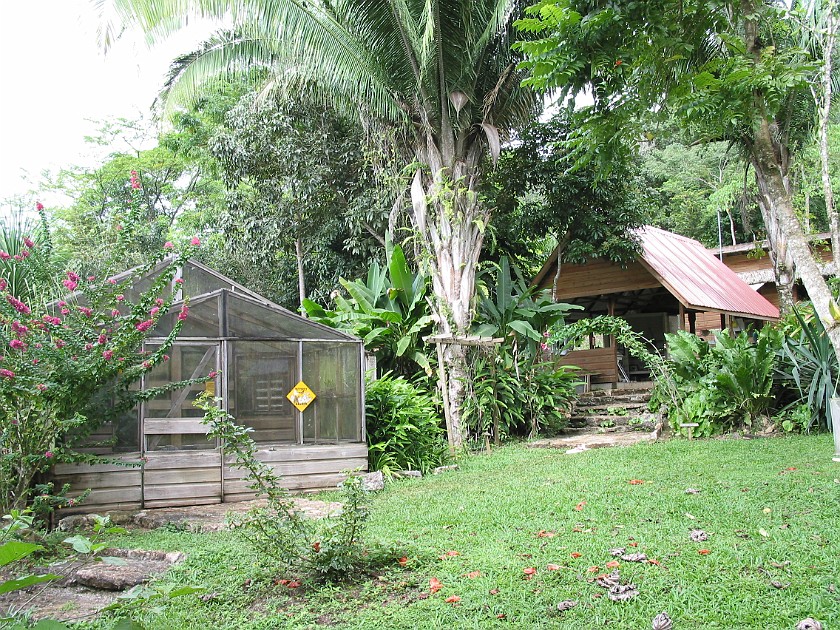 Butterfly Farm. Butterfly House. Mountain Pine Ridge. .