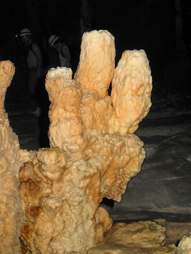 Actun Tunichil Muknal Cave Tour. Stalagmites. near San Ignacio. .