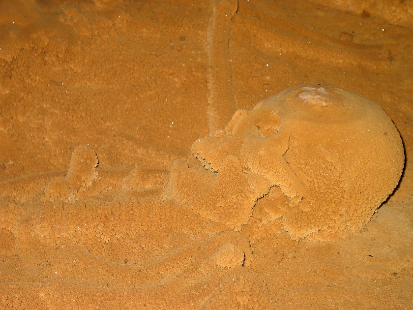 Actun Tunichil Muknal Cave Tour. Skeleton. near San Ignacio. .