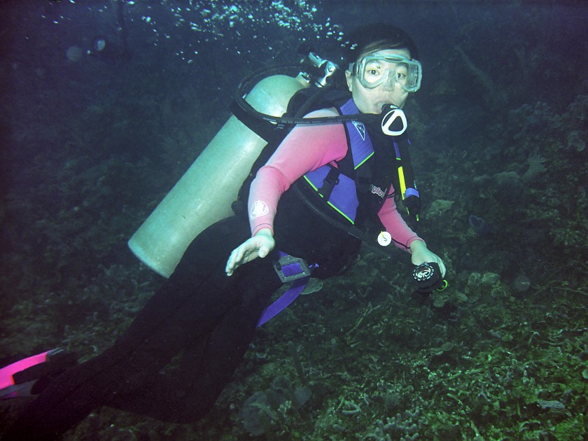 Diving East of Caye Caulker. Diving. Caye Caulker. .