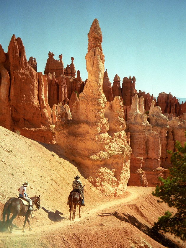 Bryce Canyon National Park. Horseback Ride Into the Canyon. Bryce Canyon National Park. .
