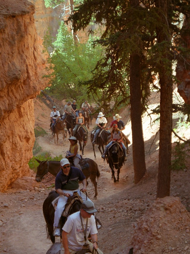 Bryce Canyon National Park. Horseback Ride Into the Canyon. Bryce Canyon National Park. .