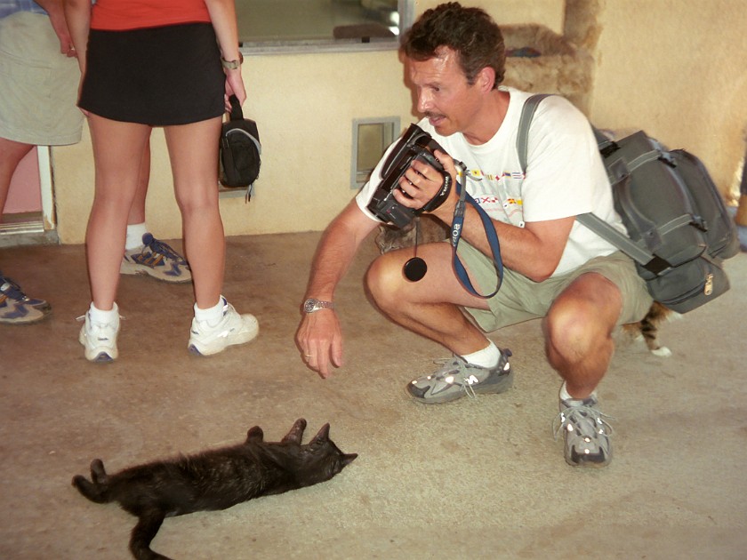 Best Friends Animal Sanctuary. Cat Shelters. near Kanab. .