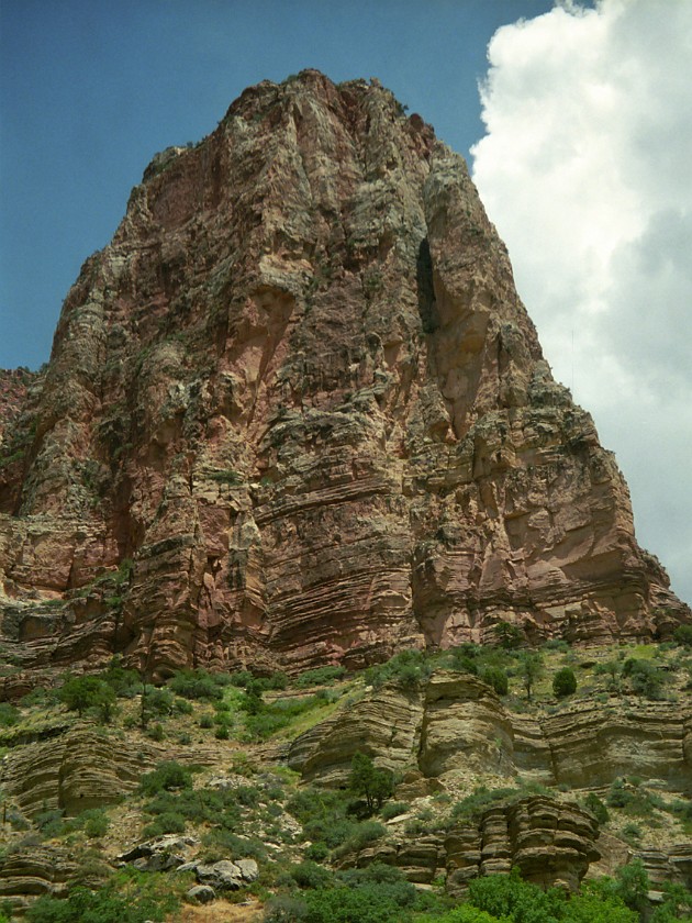 North Rim of the Grand Canyon. Mule Tour Into the Canyon. Grand Canyon National Park. .