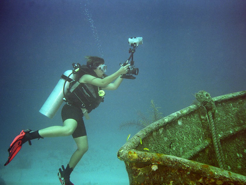 Diving South of New Providence Island. Dive. New Providence Island. .