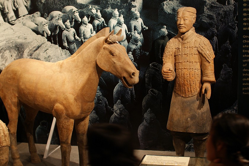 Capital Museum. Terracotta warrior and horse. Beijing. .