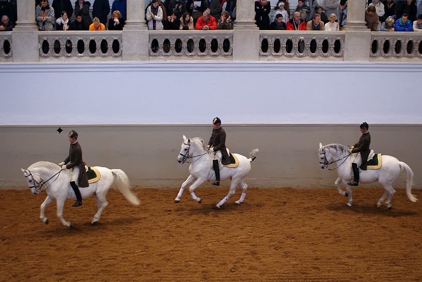 Spanish Riding School Vienna. Performance. Vienna. .