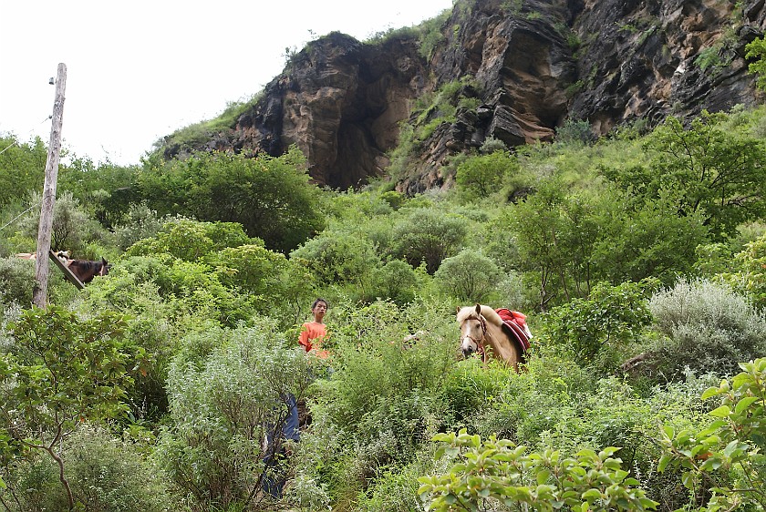 Daytrip to the Tiger Leaping Gorge. Path down to the middle rapids. Tiger Leaping Gorge. .