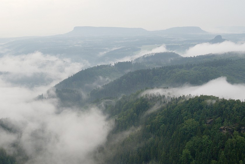 Pravcickà Brána. Forest. . .