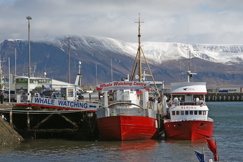 Reykjavík. Harbour. Reykjavík. .