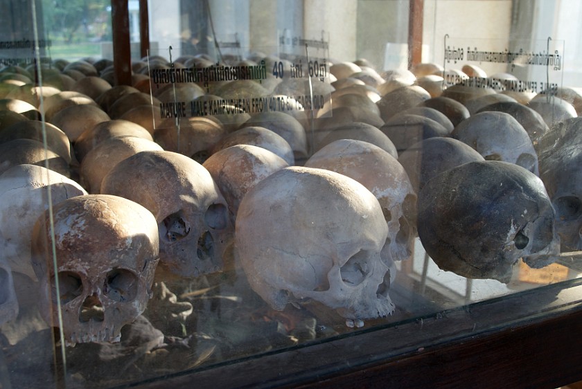 Killing Fields of Choeung Ek. Glas Panel with Skulls. Phnom Penh. .