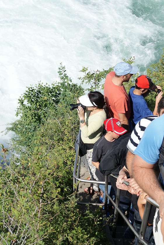 Rhine Falls. Falls. Schaffhausen. .