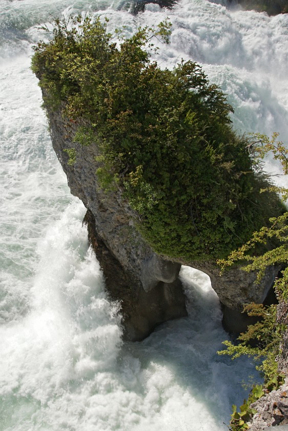 Rhine Falls. Falls. Schaffhausen. .