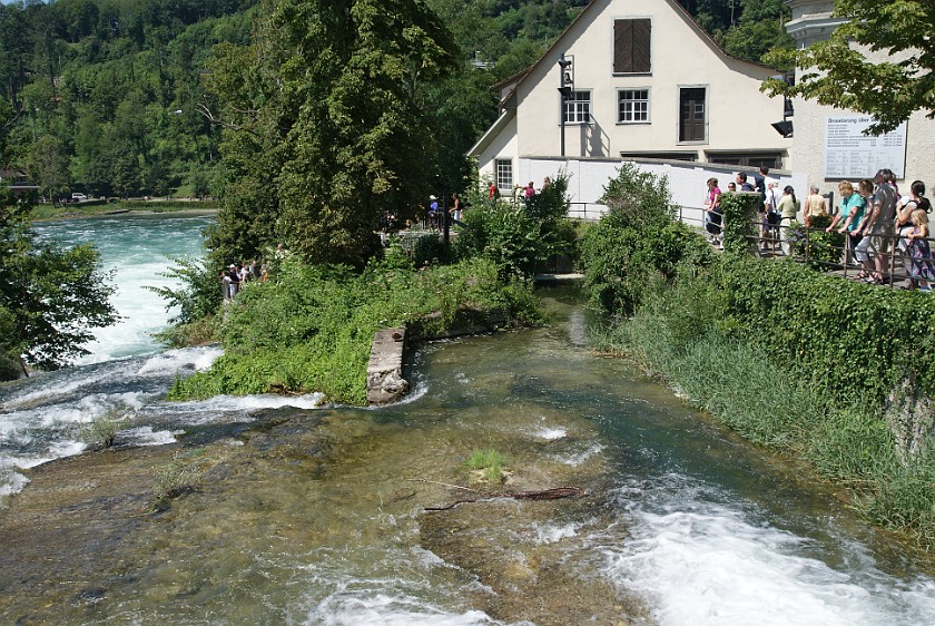 Rhine Falls. Falls. Schaffhausen. .