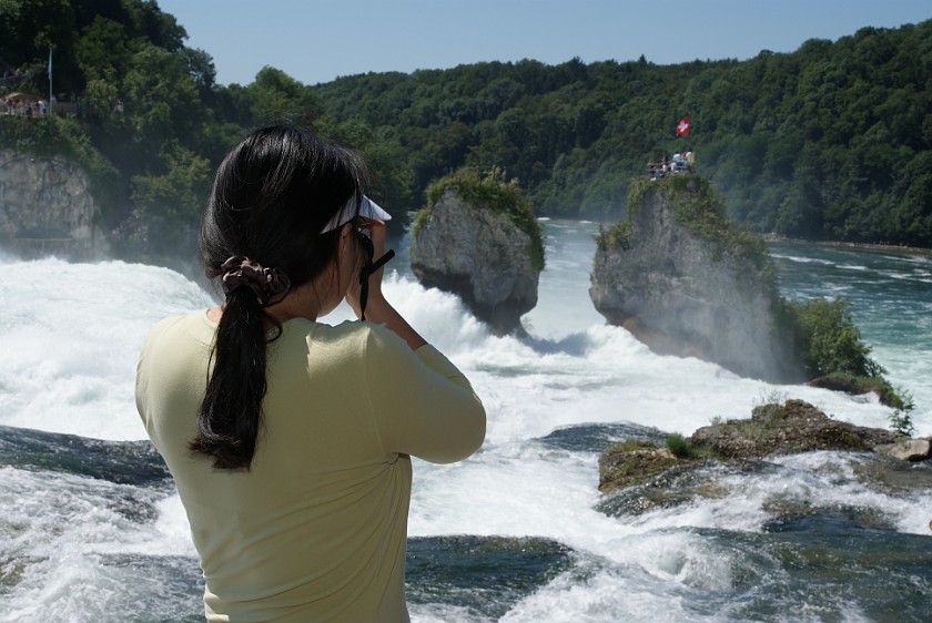 Rhine Falls. Falls. Schaffhausen. .