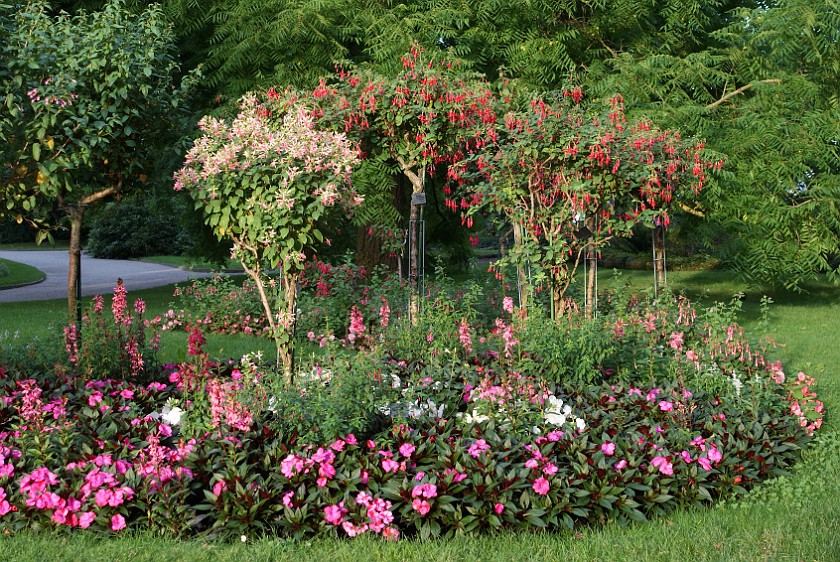 Mainau. Flower bed. Island of Mainau. .