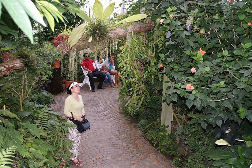 Mainau. Inside the butterfly house. Island of Mainau. .