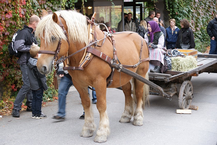 Skansen. Horse-Drawn Carriage. Stockholm. .