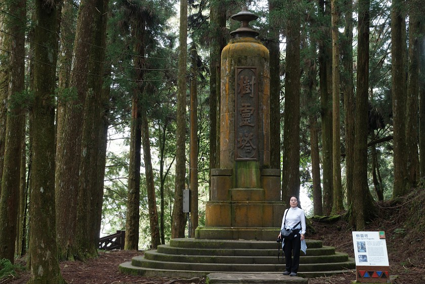 Alishan National Scenic Area. Tree Spirit Pagoda. Alishan National Scenic Area. .