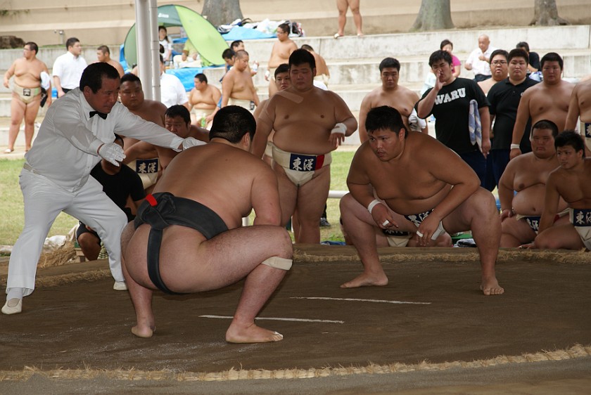 Public Sumo Wrestling. Starting Position. Tokyo. .