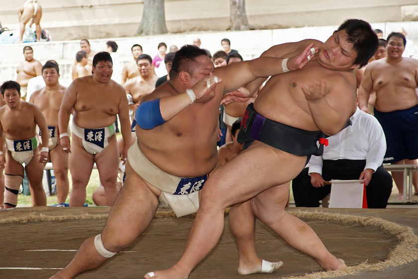Public Sumo Wrestling. Sumo Wrestling. Tokyo. .